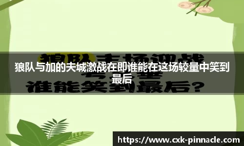 狼队与加的夫城激战在即谁能在这场较量中笑到最后