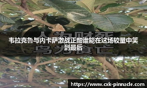 平博pinnacleAPP
